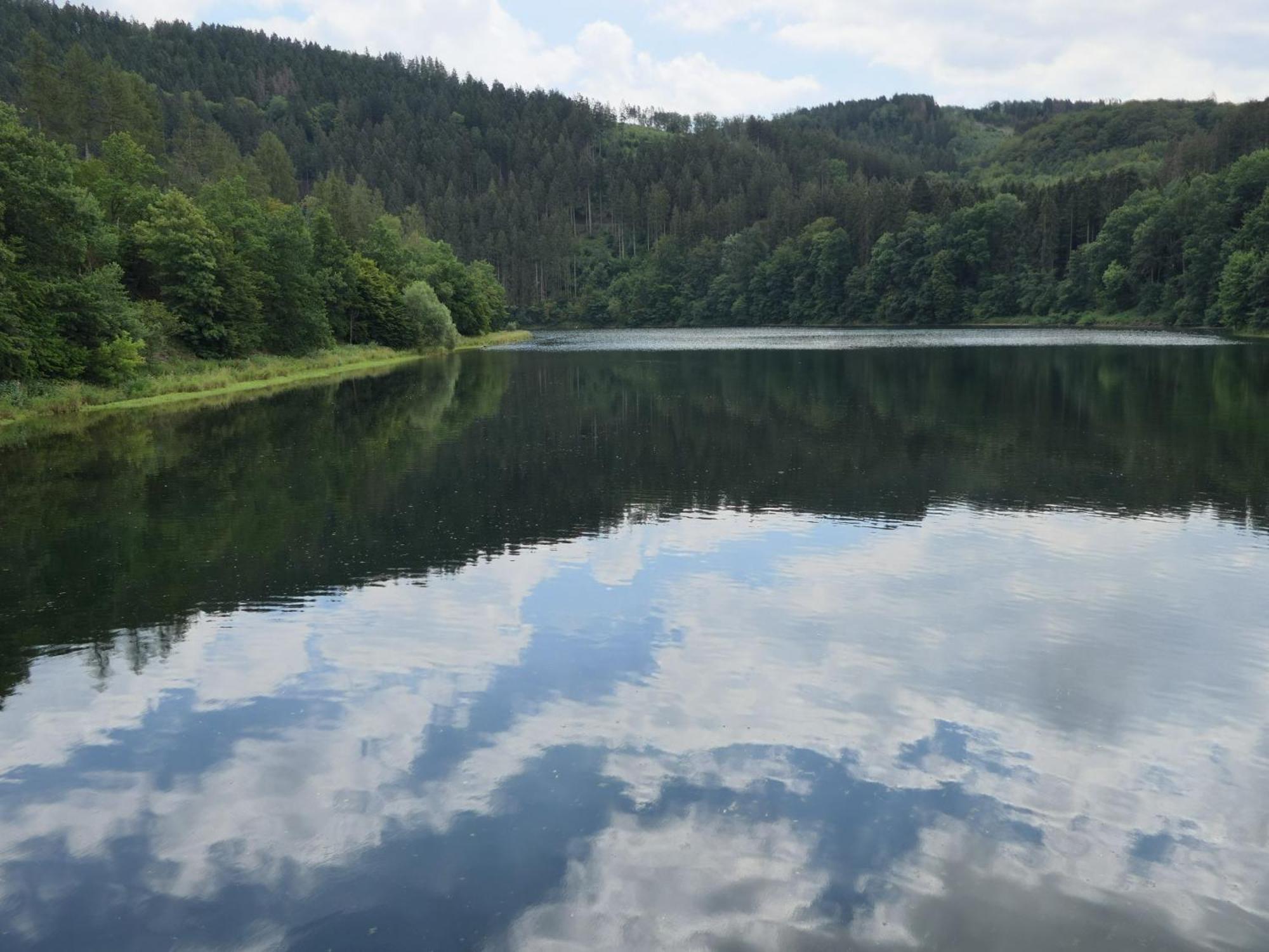 Fewo-Rosenberger-Sauerland Lennestadt Eksteriør bilde
